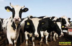 �㽭̨�ݡ���ţ˾���ƽ�ӵ���ţ��ֳ�¸�·