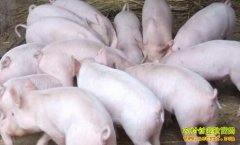 �Ĵ���ɽ�¸��ٴ�ҵ������ƶ�¸�