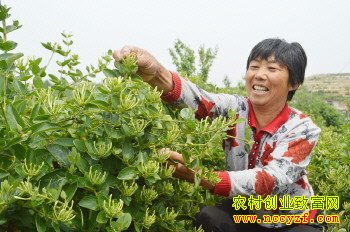 ɽ�������ż������ֽ�����һ�����һ��ǧ