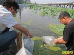 ɽ����̨Ҧ��ź����С��Ϻ,һ��Ͷ�������ջ�