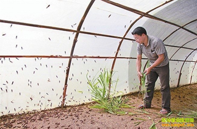 ����â������������������׬Ǯ���¸�