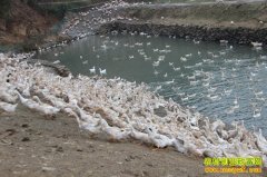 ����®����Ѽ��������������Ѽ�����¸�·