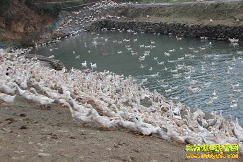 ����®����Ѽ��������������Ѽ�����¸�·