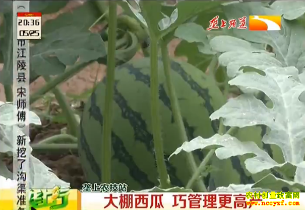 ¤��ũ��վ����������ֲ������Ƶ���������� �ɹ������߲�