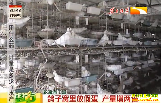 ¤��ũ��վ������ֳ������Ƶ����������żٵ� ����������