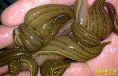 ������������ֳˮ���̾��¸�·4Ķˮ��׬8��