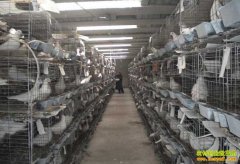 ���쿪�ؽ�С���������������75��Ԫ