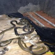 ����������׳������10����ˮ�������ֵ3000��