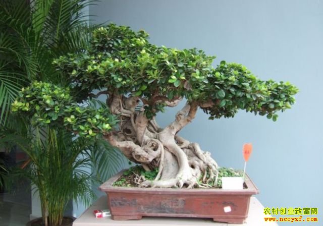 �Ĵ��ɶ��½��辰��ũ���ַ羰 ������