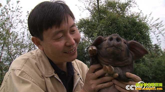 [�¸���]�Ĵ���Ԫ���е���ֳ��������2000��Ԫ