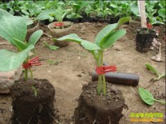 ��μ޽����ϣ����ϼ޽Ӽ���Ҫ��