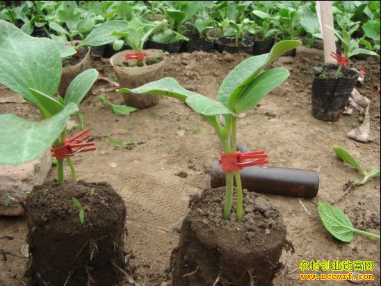 ��μ޽����ϣ����ϼ޽Ӽ���Ҫ��