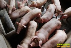 ������׬Ǯ�𣺳ɱ����� ������������ⲻ��