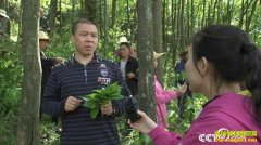 [�¸���]���ϴ���л�����������ڴ�ɽ�﷢�ֶ��ٲƸ�