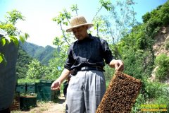 [ÿ��ũ��]����׬Ǯ�� ����Ѱ��