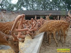 ����ƽ����Ρ����¹ۏ���¸�·