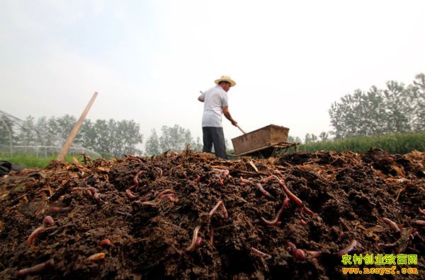 ɽ���Ͳ�����ţ������������ϴ�ҵ�¸�·