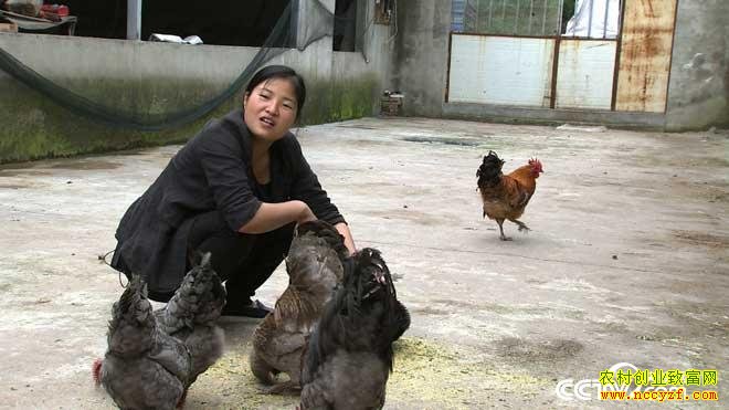 [�¸�������]�Ĵ��ന������Ϊ�һظ��׵����Ŵ�ҵ������