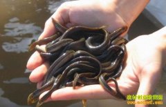 �Ĵ�¡����ѧ��������紴ҵ�������¸�