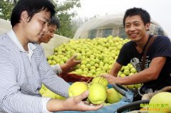 ����ƽ�ȴ�ѧ�������������������ũ��չ���ҵ