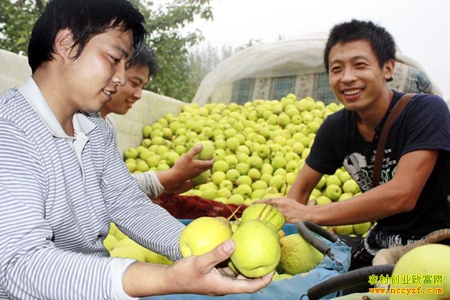 ����ƽ�ȴ�ѧ�������������������ũ��չ���ҵ