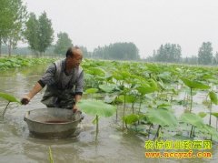 �����������ϲ���ź����ֺ��� Ķ����ź6000���