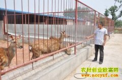 ɽ�������������ֳ÷��¹�괴��60����Ԫ