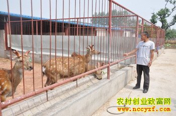 ɽ�������������ֳ÷��¹�괴��60����Ԫ