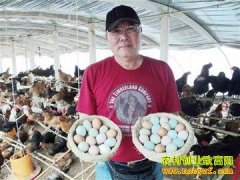 �����������¡����۷�ʮ������˲ʵ�����ֳЧ���