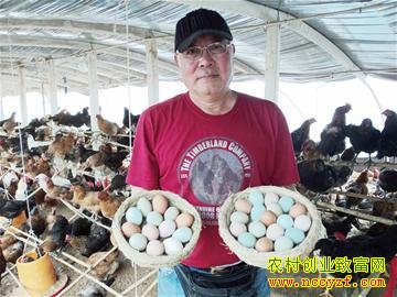 �����������¡����۷�ʮ������˲ʵ�����ֳЧ���