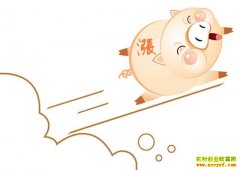 ������������ ���۸�����������