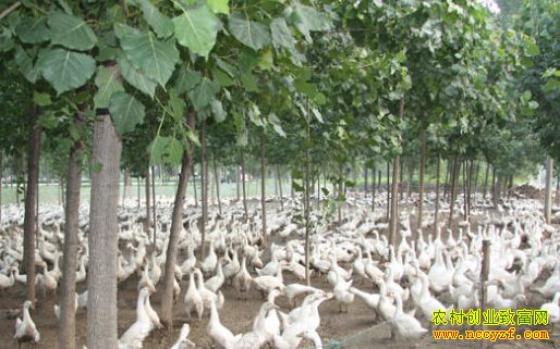 ɽ������������������������ǰ����