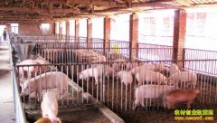 ����֯���ź�÷���紴ҵ������������