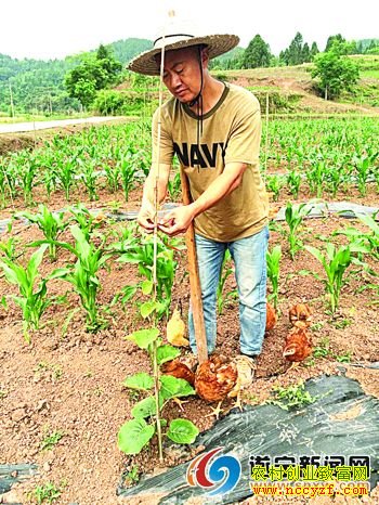 �Ĵ���Ϫ����������ֲ⨺��ҿ�����ҵ�¸�֮��