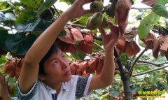 ��������Ż���ֲ⨺���ʵ�ִ�ҵ�¸���