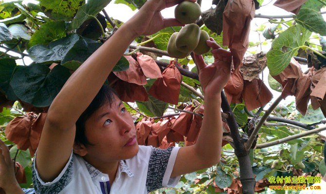 ��������Ż���ֲ⨺���ʵ�ִ�ҵ�¸���