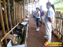 �Ĵ������ع�����ֳ���ɽ��׬Ǯ�����¸�·