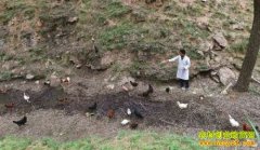 ɽ�����ش�ѧ�������ѩ��������ũ�����¸�·