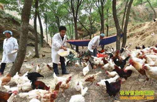 ɽ�����ش�ѧ�������ѩ��������ũ�����¸�·