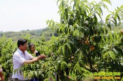 ���������������������������������ȫ���¸�