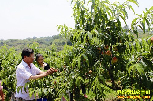 ���������������������������������ȫ���¸�