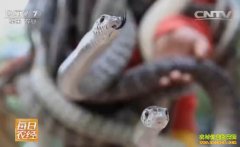 [ÿ��ũ��]�����̻� �������ݴ����������¸�