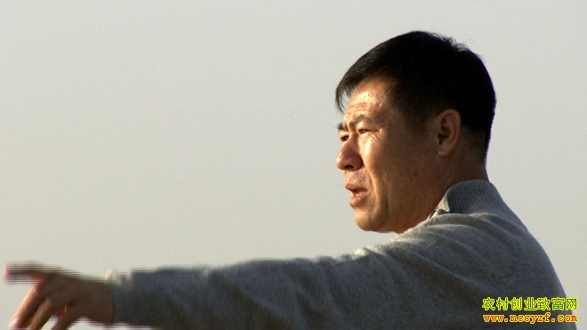 [�¸���]����罨����ֳ�����������㣩�������ҲƸ�