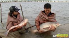 [�¸���]����罨����ֳ�����������㣩�������ҲƸ�