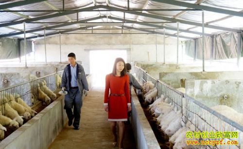 ���պ�������ΰΰ��ֳ����ҵ�¸�