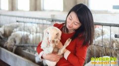 ���պ�������ΰΰ��ֳ����ҵ�¸�