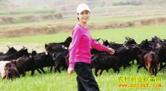 ����������������ֳ��ɽ����ũ��ƶ�¸�