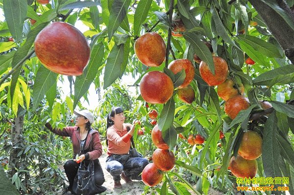 ���������ع��Ҵ������ֲ����һ������3��Ԫ