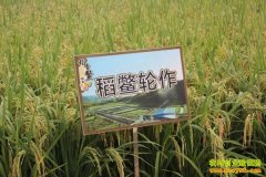 [ũ�����]������Ϻ��̬��������