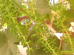 [ũ�����]�����������ѻ����ڹ�������